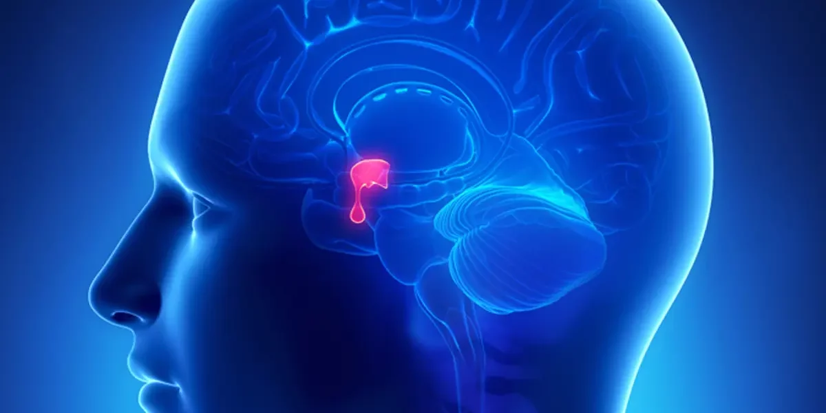 Pituitary Tumor Pituitary Tumor
