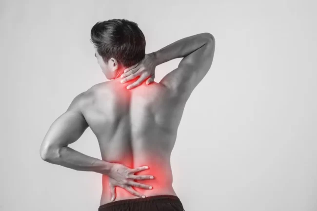 spine spine